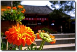 建瓯光孝寺_建瓯建瓯光孝寺_建瓯光孝寺