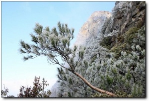 顺昌宝山_顺昌顺昌宝山_顺昌宝山