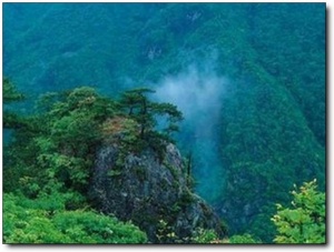 湛卢山_松溪湛卢山_湛卢山