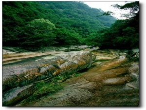 黄岗山大峡谷_武夷山黄岗山大峡谷_黄岗山大峡谷