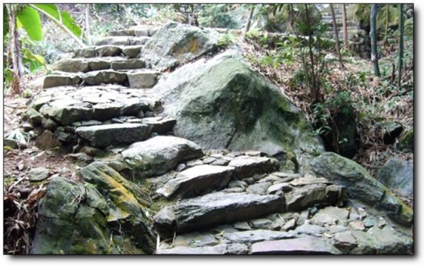 茫荡山_延平茫荡山_茫荡山