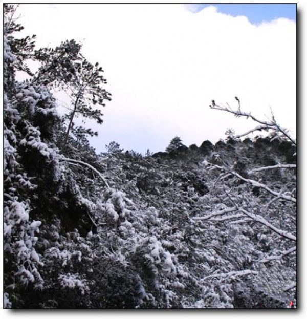 茫荡山_延平茫荡山_茫荡山