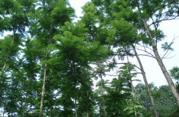 宁德荡岐山庄_福安荡岐山庄(福建宁德)_荡岐山庄