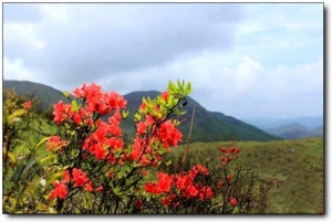 宁德白溪草场_古田白溪草场(福建宁德)_白溪草场