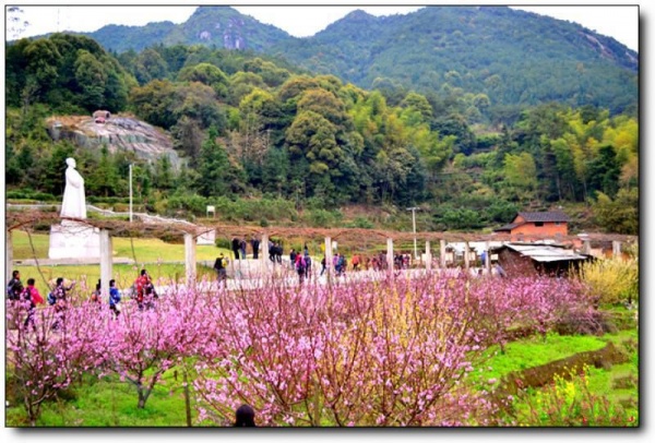 宁德上金贝畲家寨_蕉城上金贝畲家寨(福建宁德)_上金贝畲家寨