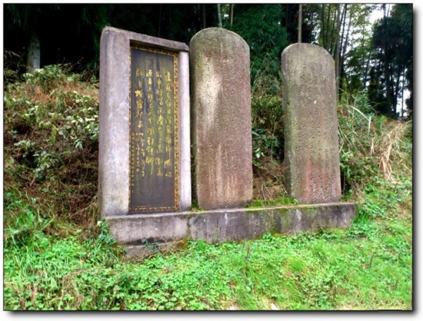 宁德南漈山_蕉城南漈山(福建宁德)_南漈山