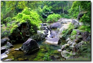 宁德南漈山_蕉城南漈山(福建宁德)_南漈山