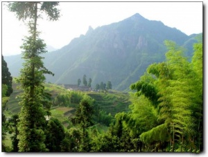 宁德东狮山_柘荣东狮山(福建宁德)_东狮山