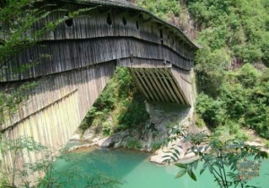 宁德杨梅洲_寿宁杨梅洲(福建宁德)_杨梅洲