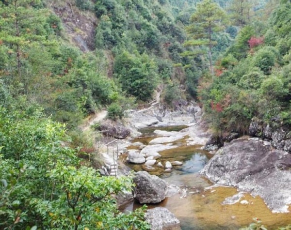 宁德蝙蝠洞_周宁蝙蝠洞(福建宁德)_蝙蝠洞