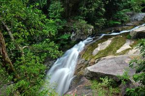 武平梁野山 (5)_武平梁野山