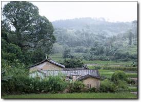 荏畲村 (6)_荏畲村