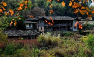 南埕桃花岛景区 (6)_南埕桃花岛景区