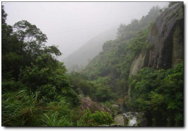 龙海大帽山 (2)_龙海大帽山