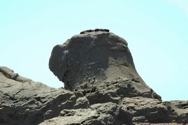 漳浦林进屿 (6)_漳浦林进屿