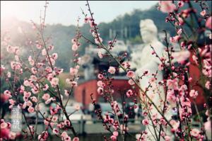 晋安林阳寺 (5)_晋安林阳寺