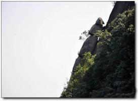 永定王寿山 (5)_永定王寿山