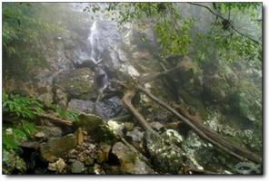 漳平天台山 (2)_漳平天台山