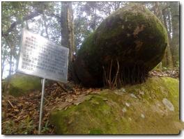 沙县松柏岩 (3)_沙县松柏岩