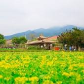 大曦山郊野公园