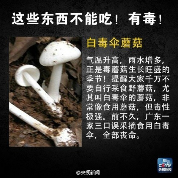 集美人注意！最近千万别吃它，比毒蛇还毒！目前尚无特殊疗法！