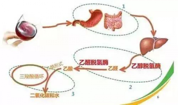 太热！藿香正气水卖断货……可它和这些同吃等于服毒，你知道吗？