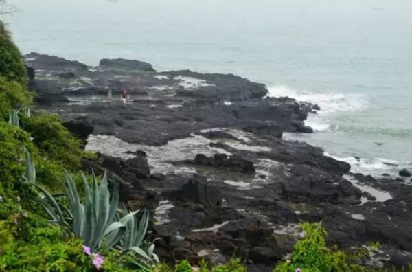 漳州滨海火山岛地质文化公园一日游/天天发团