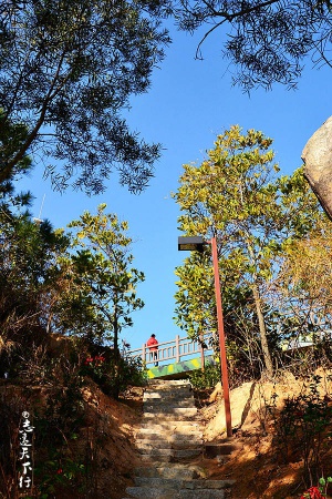 翔安这香山50亩花海绽放