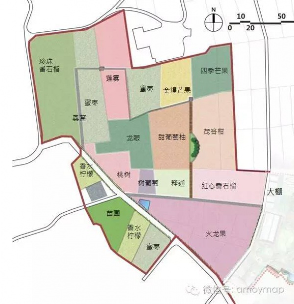 翔安内厝有个水果观光园，你知道吗？