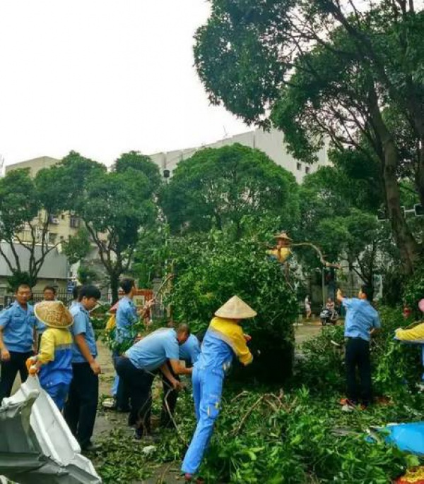 他们用这种方式捍卫集美，总有一幕令你动容！