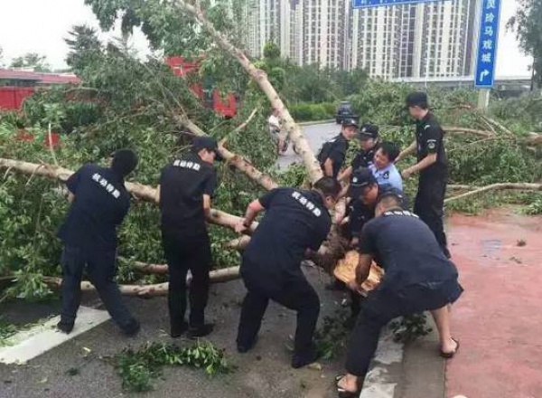 他们用这种方式捍卫集美，总有一幕令你动容！