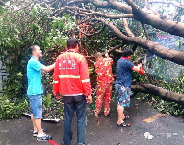 台风中不能被遗忘的画面，看一次感动一次！