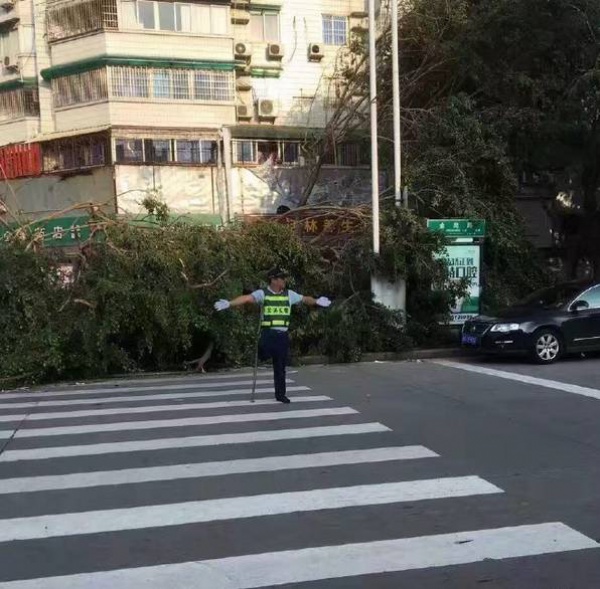 这是翔安的灾难，可却在朋友圈疯传着这些照片！