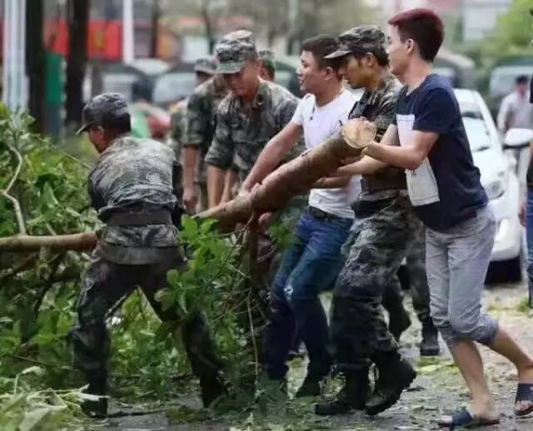 今年最美“凤凰花”，厦门人民感谢你！看完，泪奔…