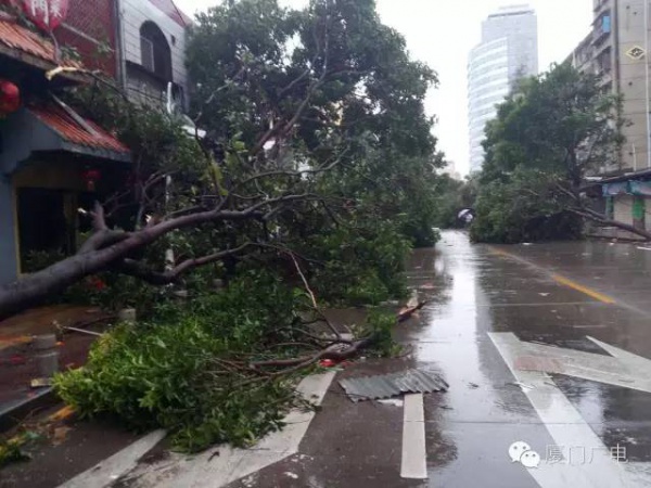 紧急！“鲇鱼”路径直指厦门！风圈比“莫兰蒂”大一倍！厦门又拉警报了…