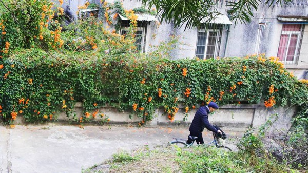 重回厦门10年前的文艺圣地，在记忆中的咖啡馆虚度时光…