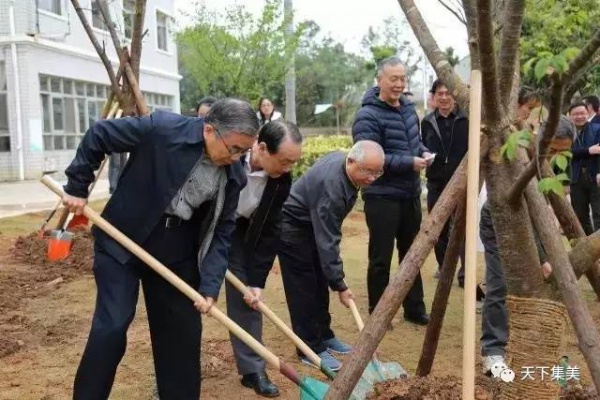 看樱花不去日本来集大！师生校友“以爱之名”浇灌它