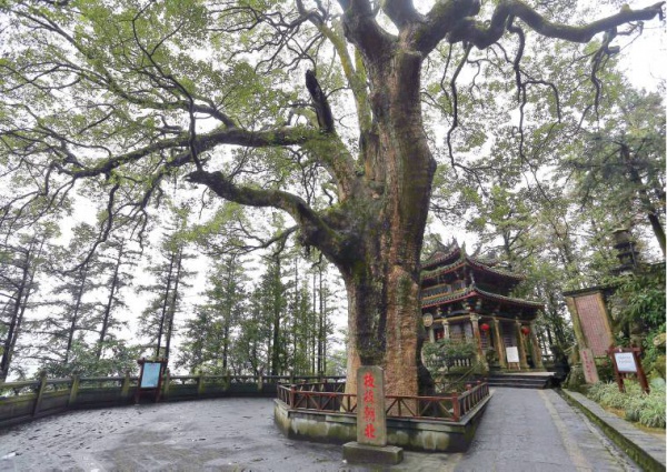 安溪清水岩寺→新北三峡祖师庙：有安溪人的地方就有清水祖师