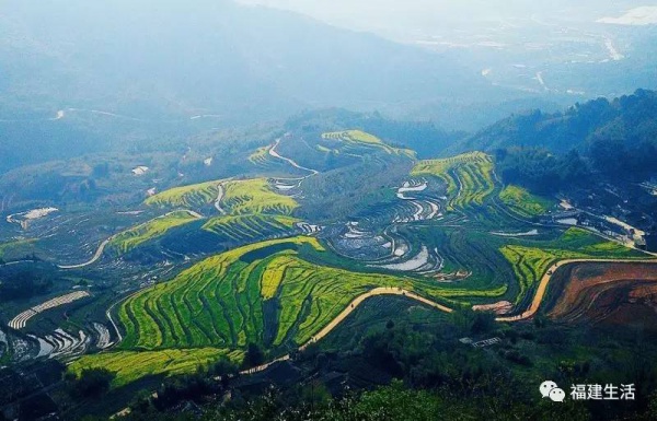 收藏！最新最全的福建油菜花地图就在这儿啦