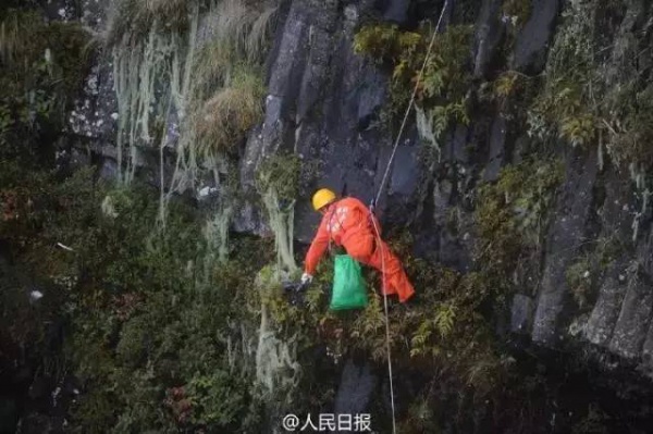 这20个人赶紧滚出厦门，立刻！马上！