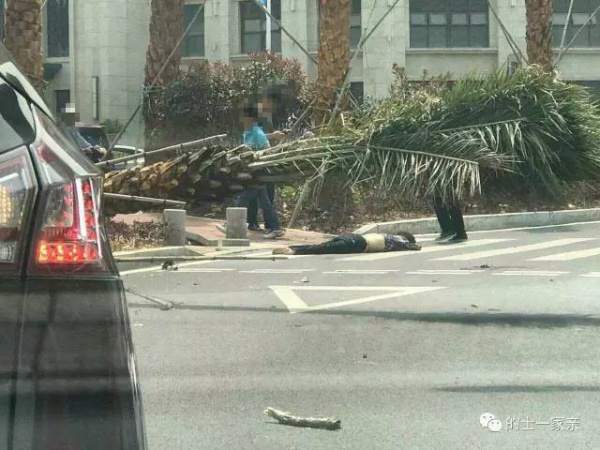 厦门一轿车疯狂冲向安全岛，现场一片狼藉，三死五伤…绿灯过马路也要注意安全！