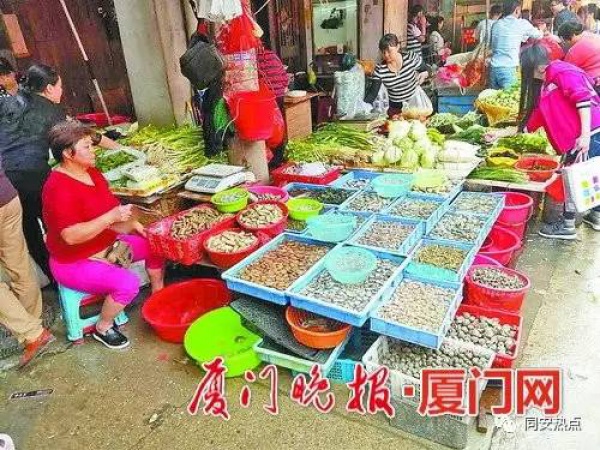 注意！这种“甲锥螺”近期上市毒性难辨，集美人莫贪美味盲目食用！