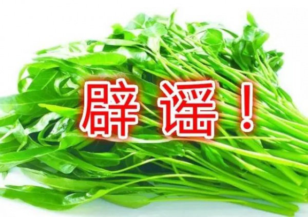 空心菜最毒？鲶鱼最脏？西红柿与虾蟹会产生砒霜？答案来了