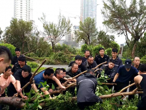 凤凰涅槃！回首莫兰蒂，那些感动集美的画面，最难忘！