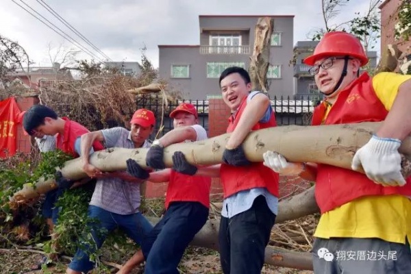 凤凰涅槃！莫兰蒂一周年，这些感动全翔安的画面你还记得吗？