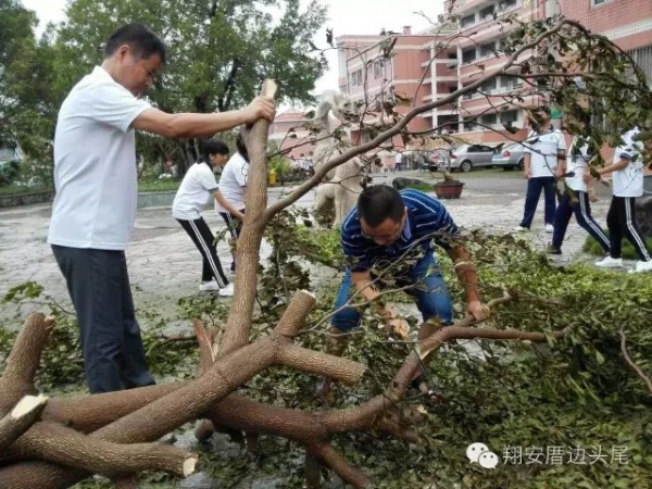 凤凰涅槃！莫兰蒂一周年，这些感动全翔安的画面你还记得吗？