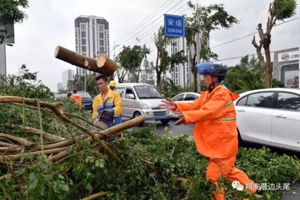 凤凰涅槃！莫兰蒂一周年，这些感动全翔安的画面你还记得吗？